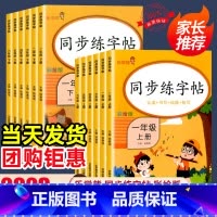 [热卖❤️1本]同步练字帖 六年级上 [正版]2024新版同步练字帖小学生一二三四五六年级上下册人教版语文每日一练控笔训