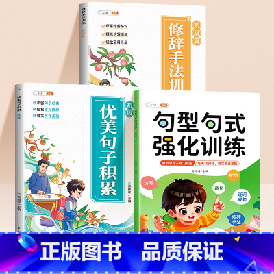 [素材积累 3本]句型句式+优美句子+修辞手法 小学二年级 [正版]句型句式强化训练小学生语文修改病句标点符号仿写扩写句