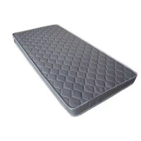 昇恒轩 大客户专享 棕垫 床垫 2000*1000*60mm/张