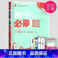 语文 九年级下 人教版 [正版]2024新版初中必刷题九年级上册下册数学英语化学物理九下人教版苏科版苏教版沪教江苏初三必