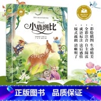 [彩绘注音]小鹿斑比 [正版]国际获奖小说注音版全套10册 小学生一年级阅读课外书上册二三年级课外书籍大奖柳林风声小鹿