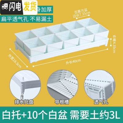 三维工匠美莳控根多肉花盆塑料套装组合创意透气肉肉控型盆器 [新款百慕盆]+[排水白托]+10个白盆(7.35cm花盆容器