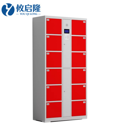 攸启隆12门智能储物柜850*460*1800mm台