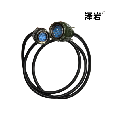 泽岩速监线(6米)CD-H22单根