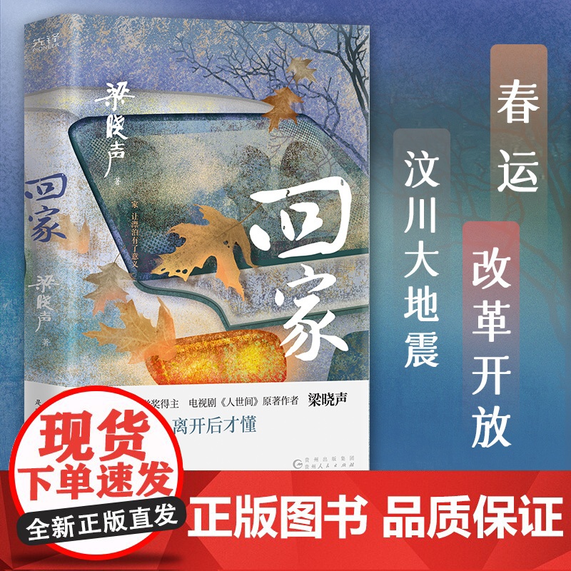 回家 第十届茅盾文学奖得主梁晓声著 电视剧人世间原著 入选小说月报中篇小说选刊中华文学选刊 聚焦大时代中的平凡小人物