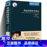 [正版]爱丽丝漫游奇境记 (英汉对照)英文原版+中文版中英文版书籍 中英文对照书籍学英语读物 英汉双语读物图书中英双语