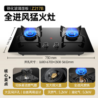 创维(Skyworth)燃气灶煤气灶双灶家用嵌入式台式双灶具猛火大火力玻璃面板JZY-Z217B