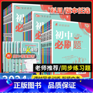 3本]语数英 人教版广东专用 七年级下 [正版]2024初中必刷题七八九年级上册下册人教版数学北师英语沪牛物理沪粤化