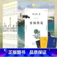 曹文轩文集(共10册) [正版]青铜葵花曹文轩文集原著纯美小说7-8-9-10-12岁草房子系列儿童文学校园青少年版四五