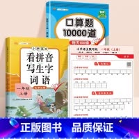 3本[一年级上册]语文默写纸+口算题10000道+看拼音写词语 [正版]小学语文默写纸看拼音写词语生字注音一年级二年级三