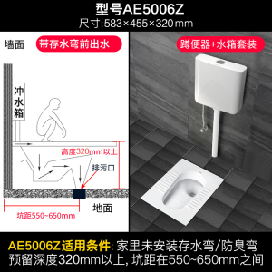 箭牌(arrow)蹲便器套装防臭家用大便池蹲坑蹲厕所洗手间卫生间陶瓷大便器ALD507