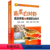 [正版]书籍 南美白对虾高效养殖与疾病防治技术 南美白对虾养殖技术教程书籍 水产养殖书对虾养殖业书籍 养虾技术大全书病