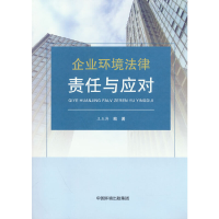 音像企业环境法律责任与应对王玉涛 著
