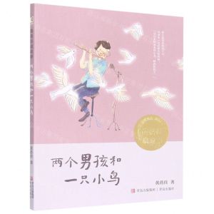 [N]两个男孩和一只小鸟/黄蓓佳说故事-9787573600615