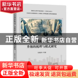 正版 核心企业创新驱动产业集群升级的机理与模式研究 张聪群 中