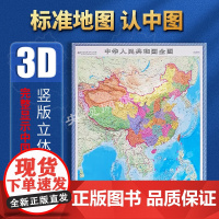 DT立体中国地图 3d凹凸竖版墙贴地图防水0.8x1.1米 政区地形二合一 全图 南海诸岛国家版图系列立体图 办公书房学