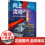 向上流动：求学与原生家庭的羁绊 安徽正版书籍