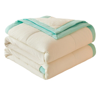 红星永信达 空调被夏凉被 HX-RZ013 条