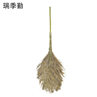 瑞季勤 大扫把 木柄5斤 把