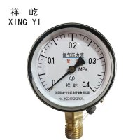 祥屹+氧气压力表检测定制型+YO100+块