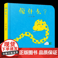中少阳光图书馆 像什么?0-2-3岁幼儿宝宝启蒙认知图画书趣味认知想象力绘本 亲子互动游戏书动物认知 精装童书