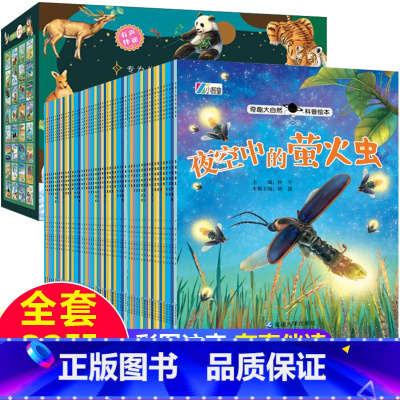[32册]注音版科普绘本第1.2.3.4合辑 [正版]全套20册儿童绘本3-5一6岁读物经典必读幼儿园老师2-4一6小班