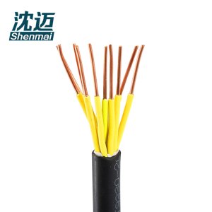 沈迈 铜芯电缆 ZR-KVV-450/750V-10*2.5mm² /米