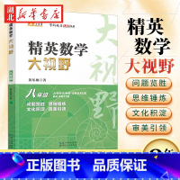 精英数学大视野·八年级 [正版]2025新版 精英数学大视野八年级上册下册通用黄东坡著初中8年级数学竞赛专项培优解题思路