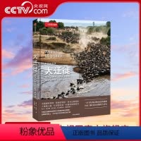 [正版]央视网美丽的地球大迁徙 中国国家地理美丽的地球系列书籍 科普类书 了解迁徙动物的生活史DL