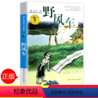 野风车 [正版]野风车曹文轩全套 中小学生课外阅读书籍三四五六年级6-7-9-10-12-15周岁的初中生儿童读物3-6