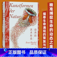[正版]自然的艺术形态 复古艺术馆系列 自然博物 进化生物学 艺术画册 书店书籍