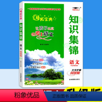 语文 小学通用 [正版]小学语文知识集锦 升级版 培优宝典中小学语文基础知识手册 语文知识大全 小升初毕业总复习全解资料
