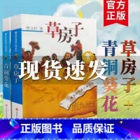 [正版]青铜葵花 草房子曹文轩纯美小说系列儿童文学 全套共2册 儿童校园成长励志小说 小学生课外阅读书籍读物 书籍