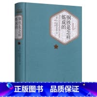 钢铁是怎样炼成的 [正版]送有声书 精装版 钢铁是怎样炼成的 完整版 奥斯特洛夫斯基 精装小学生初中原著原版初中生成人