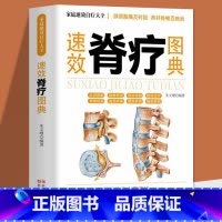 [正版] 速效脊疗图典 颈腰椎病 腰突症颈椎病临床常见骨关节病基本知识养护方法 康复护理参考书 自我诊断骨关节病 医学书