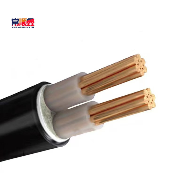 常顺鑫 低压铜芯电缆YJV22 0.6/1KV 2×16 米