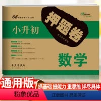 [正版]小升初押题卷小学升初中数学必刷题人教版六年级下册通用版试卷真题卷总复习资料名校期末冲刺模拟试卷专项训练测试卷复