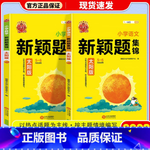 太阳版 语文+数学 小学通用 [正版]2023新版 王朝霞新颖题集锦太阳月亮版知识大盘点语文数学四五六年级学习学霸阅读理