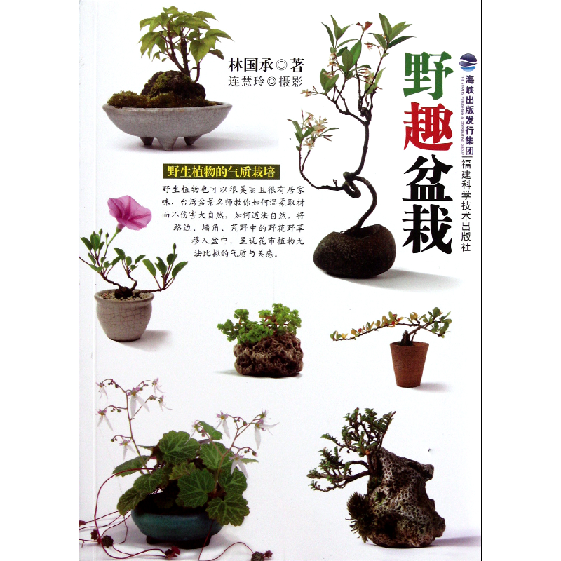 音像野趣盆栽林国承|摄影:连慧玲