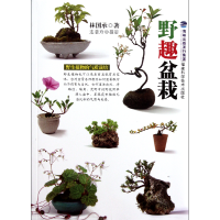 音像野趣盆栽林国承|摄影:连慧玲