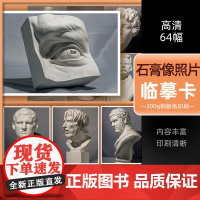 石膏像照片临摹卡64幅2022沐尚文化高清卡片石膏头像素描写生考级
