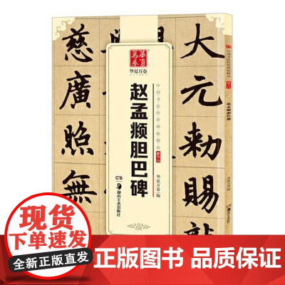 10003789-28-赵孟頫胆巴碑(中国书法传世碑帖精品) 湖南美术出版社