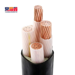 常顺鑫 低压铜芯电缆ZC-YJV3×95+1×50 米