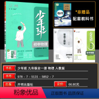 物理 九年级/初中三年级 [正版]2024秋版少年班九年级物理人教版全一册培优同步课时练一课一练提升拓展综合练习册 答案