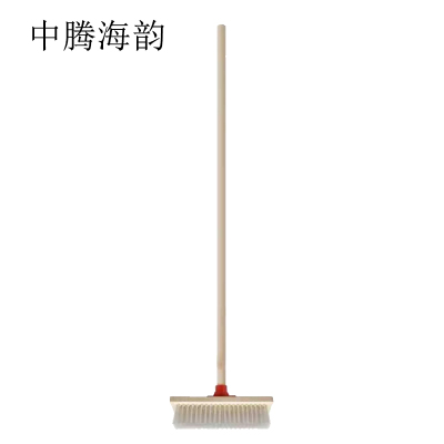 中腾海韵 地刷 20cm 个