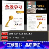 语文 九年级上 [正版]2024秋全效学习学业评价方案九年级上册语文人教版上册同步练习册学练考一体化全面升附赠核心突破小