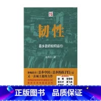 [正版]韧性 县乡政府如何运行 田先红 中国人民大学出版社 新书 中县干部 基层治理 中国政治 教育 乡村振兴书籍 县