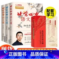 北京四中语文课(全4册) [正版] 藏在大师名篇里的语文课全5册 何捷著 84堂阅读课156招写作法100篇名家名作6-
