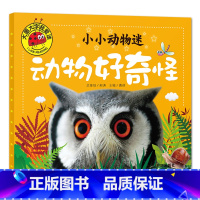动物好奇怪 [正版]大图大字我爱读小小动物迷 动物好萌啊 好奇怪 好威风 好有趣彩图注音儿童启蒙认知动物百科全书幼儿园一
