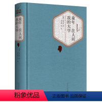 在人间 我的大学 高尔基 [正版]童年 在人间和我的大学 高尔基的三部曲 精装版无删减 世界文学名著小说书籍初中生高中生